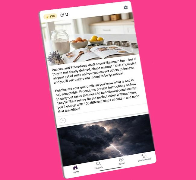 Consultants Like Us 2